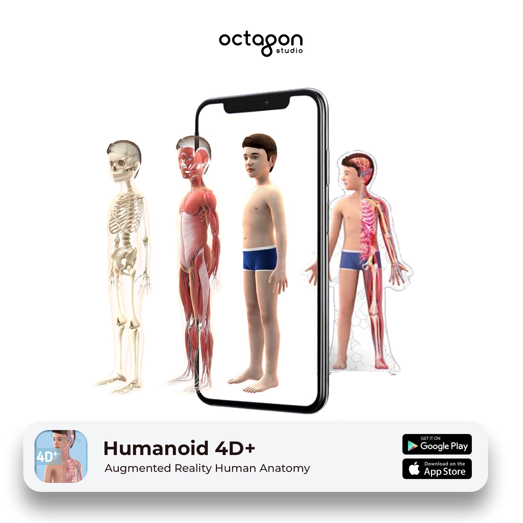 Humanoid 4D+ Augmented Reality Cards